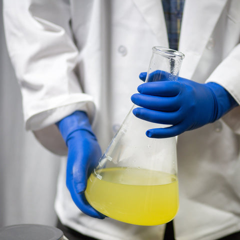 Gloveworks Blue Latex Exam Gloves GPLHD