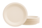 Bagasse food plates